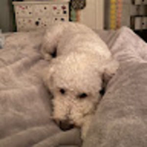 Meet your Posher, Caitlin